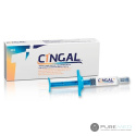 synovial fluid, joint degeneration, knee and joint support, injection to the knees, treatment of a knee injury